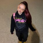 Spider Hoodie USA