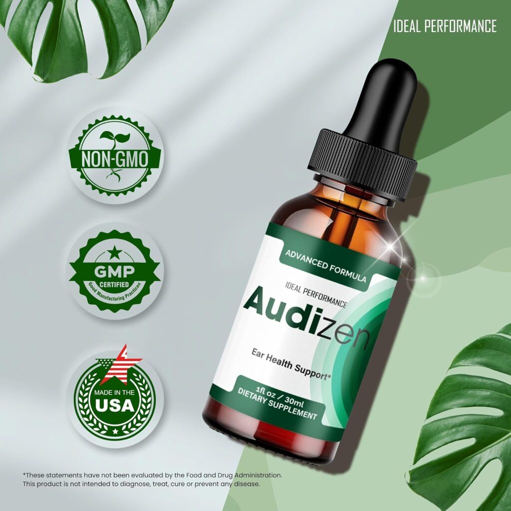 audizen 1