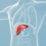 hepatitis-C-liver (3)
