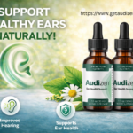 Audizen