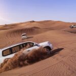 morning desert safari