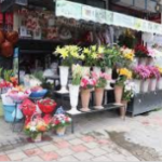 Flower shop near me