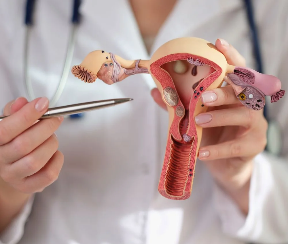 Premature Ovarian Failure Treatment In Dubai