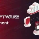 Custom MVP Software Development Services Online