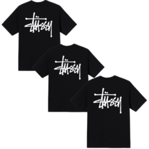 Tee Shirt Homme Stussy