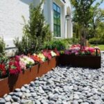 Landscaping Services in Austin Texas